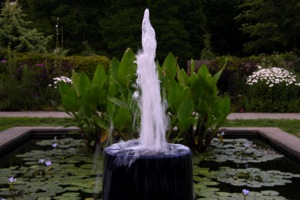Fountain